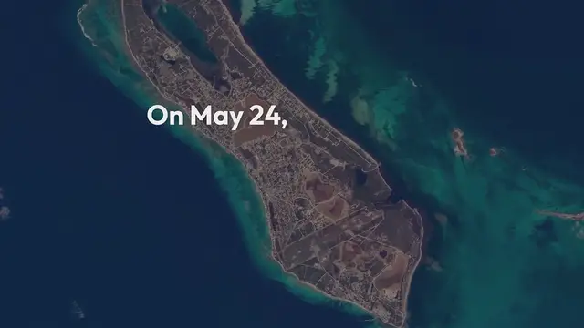 Video thumbnail for "From Shark Attack Survivor to Paralympic Contender: Ali Truwit's Remarkable Comeback Story"