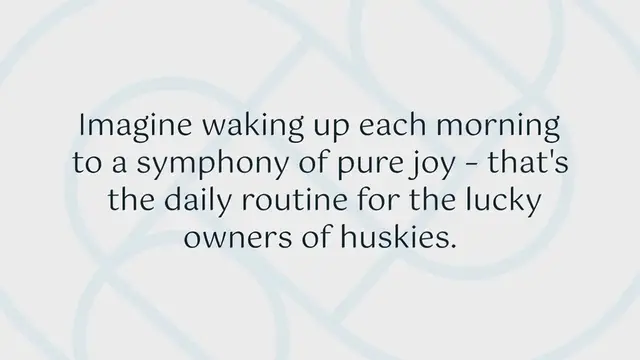 Video thumbnail for Howl of joy every morning before walk