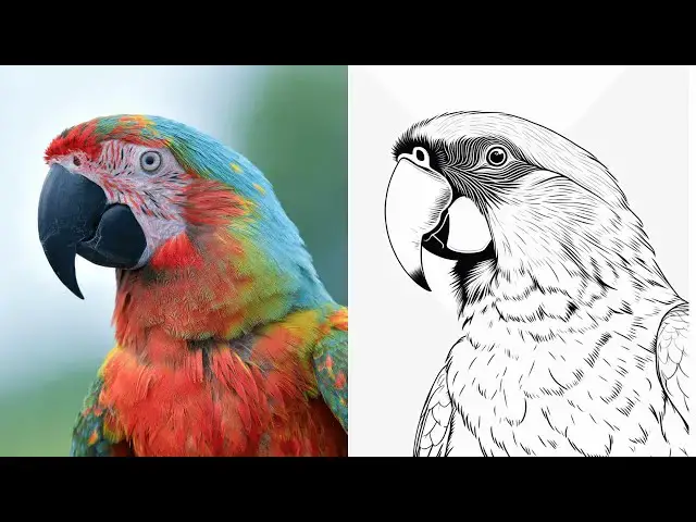'Video thumbnail for This AI Tool Converts Photos Into Coloring Pages In Seconds | Coloring Book AI'