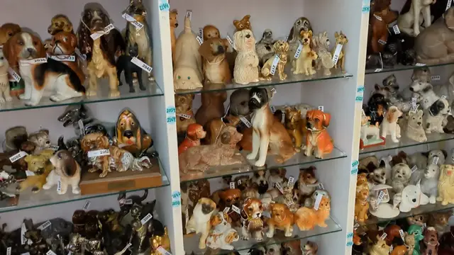 'Video thumbnail for Siblings keep adding to their dog memorabilia collection in memory of their late parents'