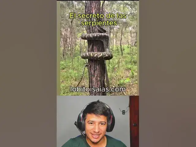 'Video thumbnail for Lo que no sabias de las serpientes'