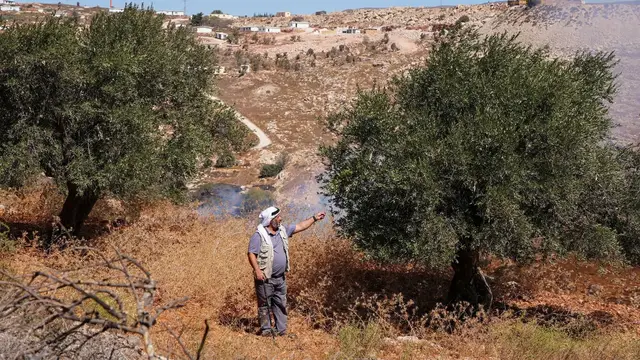 Video thumbnail for Israeli settlers burn Palestinian olive groves as West Bank raids intensify