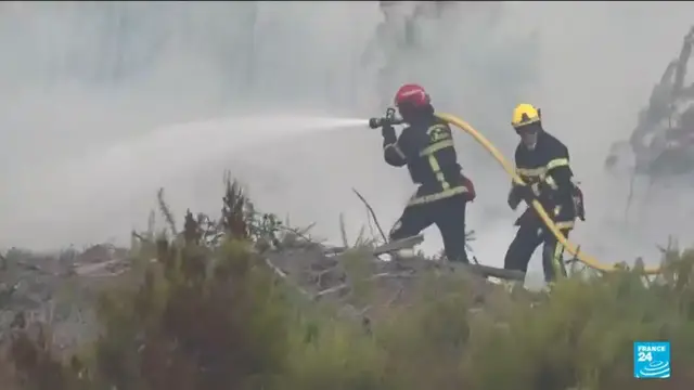 Video thumbnail for France wildfire: Local economy faces huge rebuilding and reforestation bill