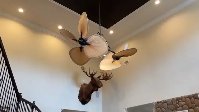 Video thumbnail for Twin blade fan, super awesome Ceiling Fan