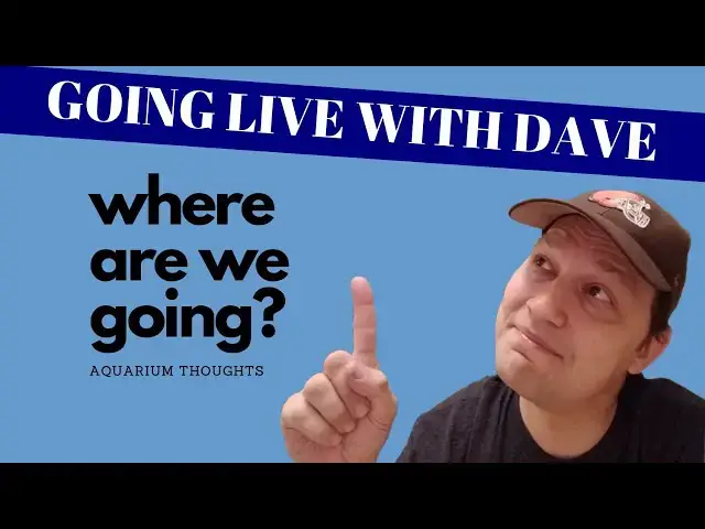 Video thumbnail for Stuff about fish, Stuff about Youtube, Just Thoughts - Aquarium Thoughts Live