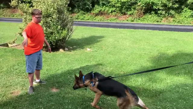 Video thumbnail for Boy Reunited With Service Dog After Camp | Happily TV