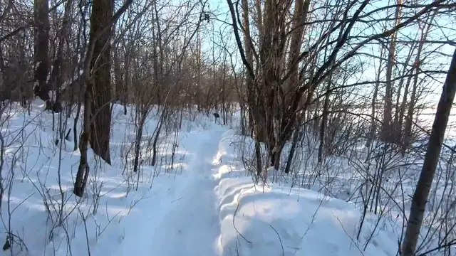 Video thumbnail for Winter Snow Walking