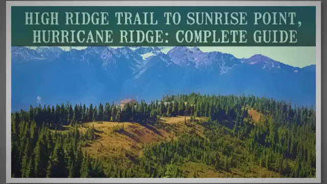 Video thumbnail for High Ridge Trail to Sunrise Point, Hurricane Ridge: Complete Guide