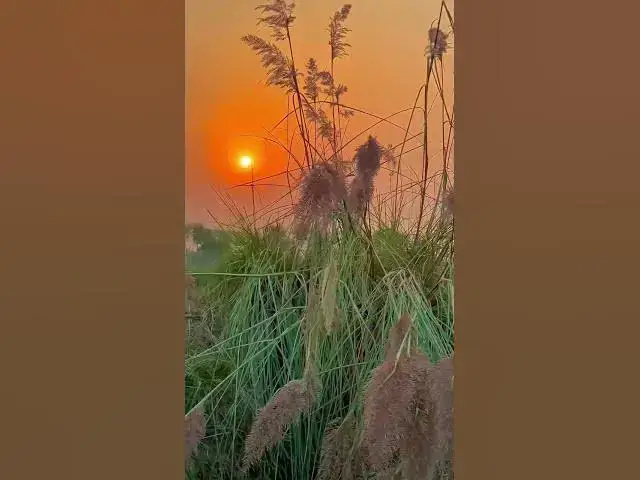 Video thumbnail for Tumhare Shehar Ki Ronaq bhi khoob tar hai Magar Jo mere Gaown ki sham hai Tamaam hai