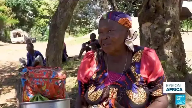 Video thumbnail for Ebola outbreak: Border surveillance gaps raise concerns in the Central African Republic
