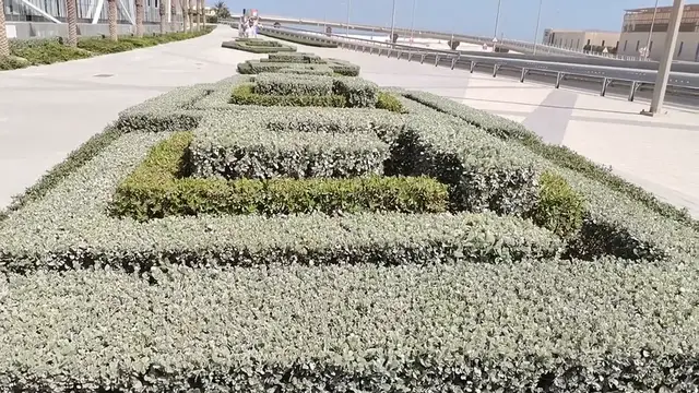 Video thumbnail for Nature (3)