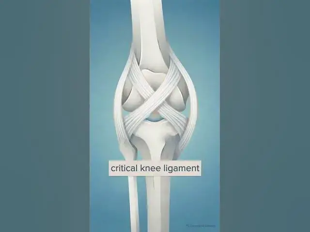 Video thumbnail for How the Knee's 4 Ligaments Work