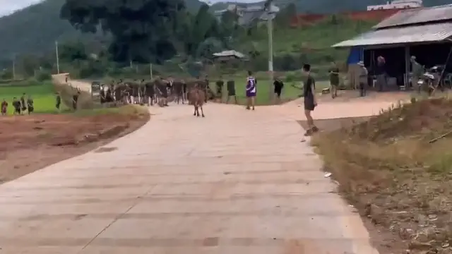 Video thumbnail for Cow Chases Army Trainee Across Field in China