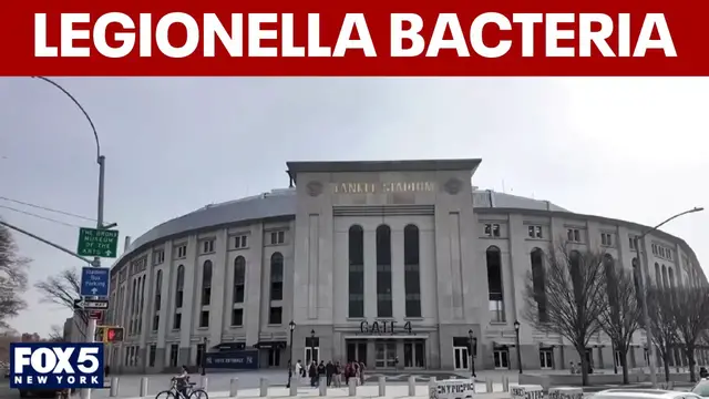 Video thumbnail for Yankee Stadium cooling tower tests positive for Legionella bacteria