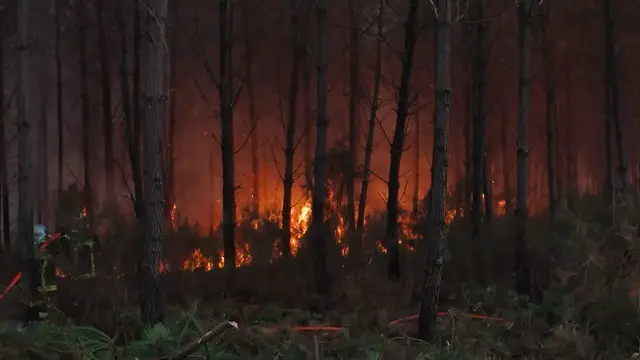 Video thumbnail for France: Firefighting operation continues as wildfire burns in southwest France.