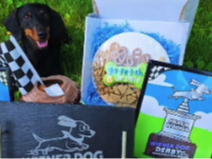 Video thumbnail for Back-to-Back Champion: Haskell Dachshund ‘Bucky’ wins 2026 Meadowlands Wiener Dog Derby