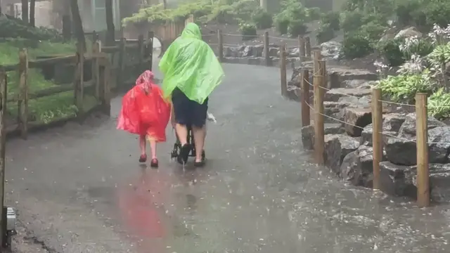Video thumbnail for US: Downpour Forces Visitors to Take Cover at Seneca Park Zoo.