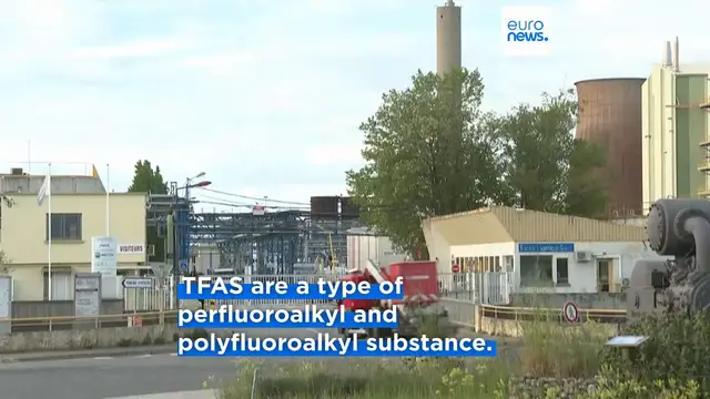 Video thumbnail for EU's food safety agency reduces safe daily intake level of 'forever chemical' TFA