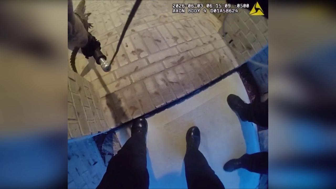 Video thumbnail for US: Heavy Rain Forces Alligators Onto Residential Porches In Fulshear.