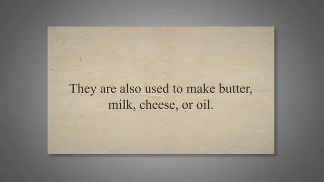 Video thumbnail for Can You Eat a Cashew Fruit? – Press To Cook