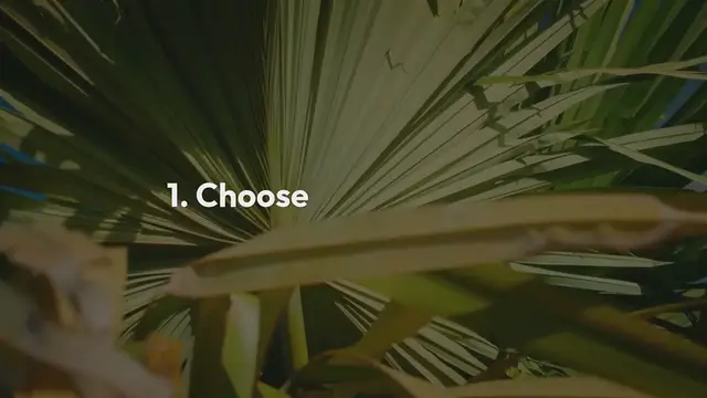 Video thumbnail for How to Grow Indoor Palms