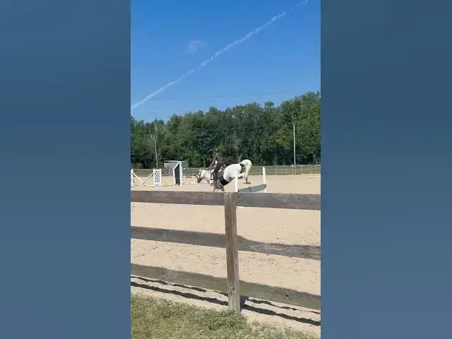 Video thumbnail for rawww #horse