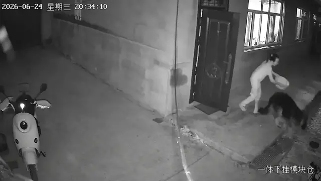 Video thumbnail for German Shepherd Soaked in Hilarious Doorway Splash