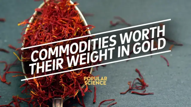 'Video thumbnail for Precious Commodities Worth (More Than) Their Weight In Gold'