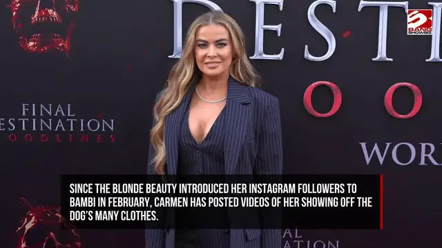 Video thumbnail for Carmen Electra says her dog is giving her serious competition in the fashion department