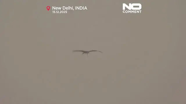 Video thumbnail for Toxic smog blankets New Delhi plunging air quality to hazardous levels