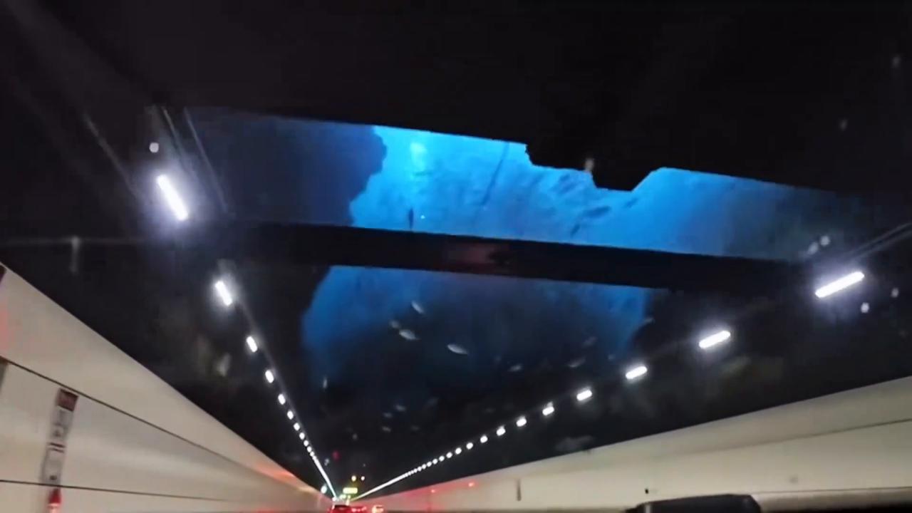 Video thumbnail for China: Drivers experience surreal light show inside undersea tunnel in China.