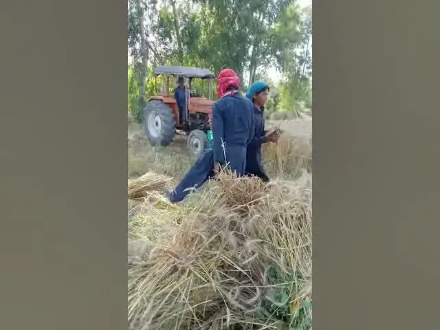 Video thumbnail for June 17, 2020