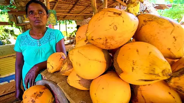 'Video thumbnail for SRI LANKA STREET FOOD - King of Coconuts!! HUNGRY SRI LANKAN Food Trip to Anuradhapura!'