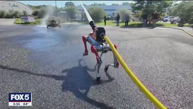 'Video thumbnail for New K9 joins Suffolk force as robotic dog fights fires'