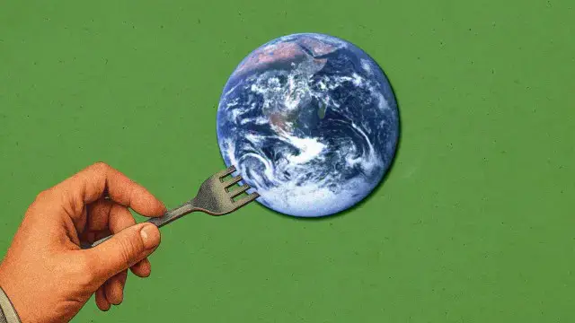 Video thumbnail for We have the tools to fix our food system. Why aren’t we using them?