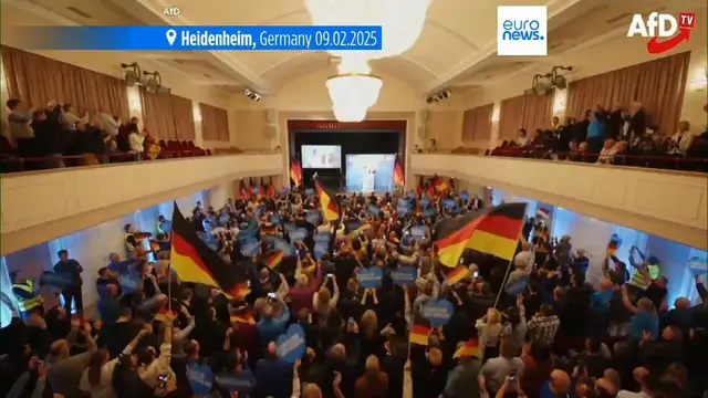 Video thumbnail for Germany's intelligence agency suspends AfD party's 'extremist' classification