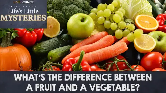 Video thumbnail for What's the difference between a Fruit and a Vegetable?