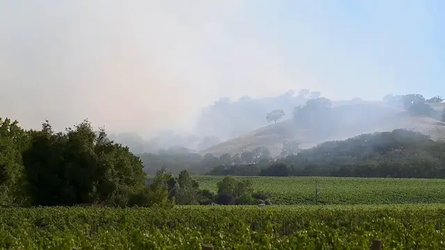 Video thumbnail for US: Evacuations ordered near Pleasanton during wildfire in Sunol, California.