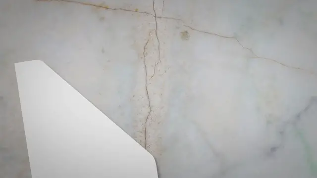 Video thumbnail for Life in the Intertidal Zone: Unveiling Nature's Web of Interactions and Recycling Heroes