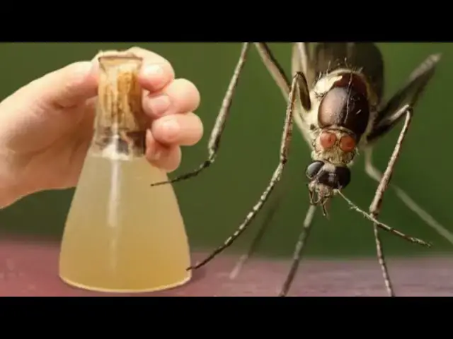 Video thumbnail for ¡ESTO es más fuerte que 100 repelentes! No más mosquitos ¡COMPROBADO!