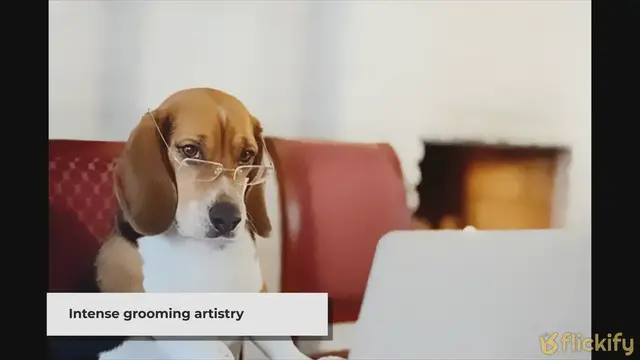 'Video thumbnail for Crafting Canine Elegance: The Quintessential Toolkit for Dog Grooming Mastery'
