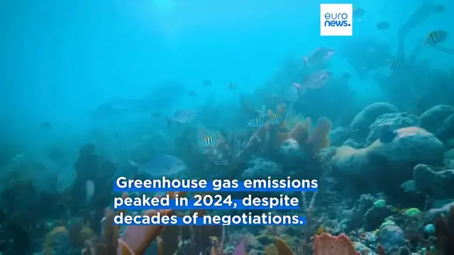 Video thumbnail for Ten years of the Paris Agreement: Hope for change clouded by climate realities