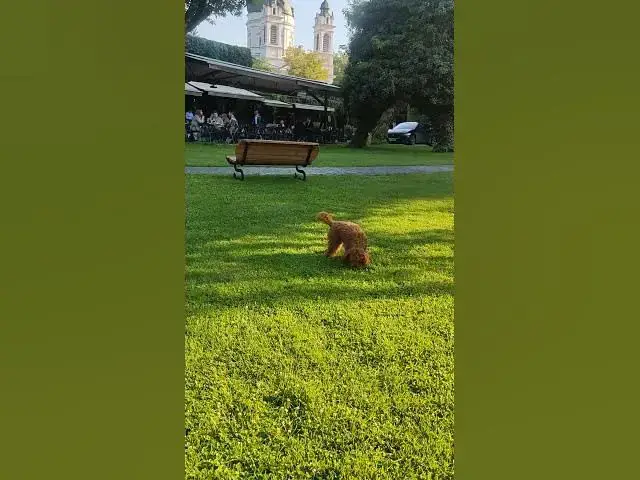 Video thumbnail for Therapy? Nah, just let me roll for 45 seconds 🍃🧘‍♂️