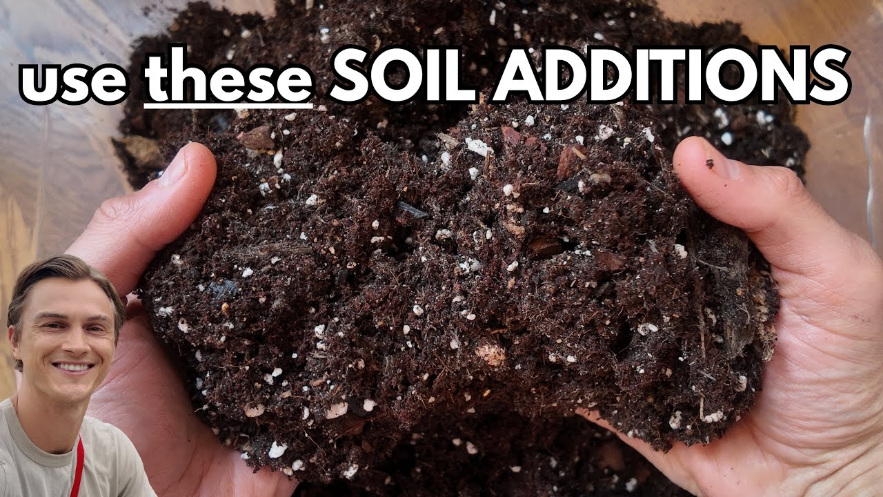 Video thumbnail for Add these Soil Ingredients to your Houseplants and Watch them Flourish - with Premium Recipe