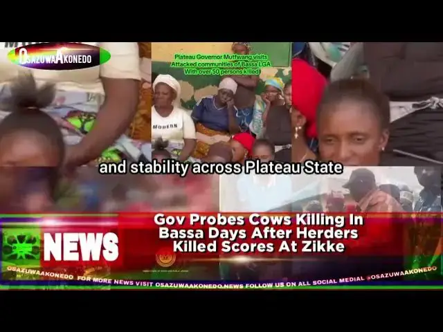 Video thumbnail for Gov Probes Cows Killing In Bassa Days After Herders Killed Scores At Zikke