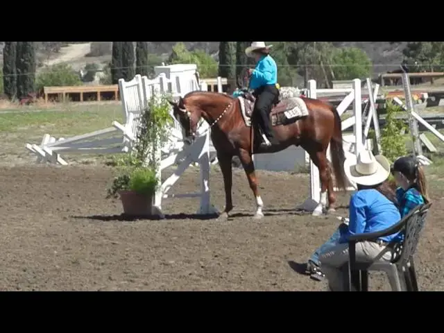 Video thumbnail for DSCN2101