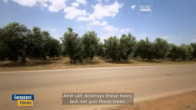 'Video thumbnail for Drought and doubts: can the European Union help Greece and other thirsty Member States?'
