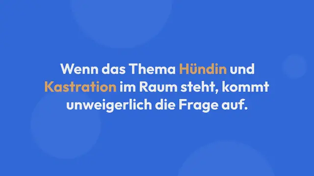 Video thumbnail for Kastration bei Hündin: Wesensveränderung & Vor- und Nachteile