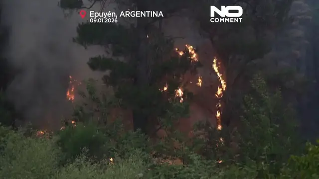 Video thumbnail for Wildfire burns more than 5,500 hectares in Argentina’s Patagonia