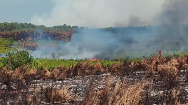 Video thumbnail for France: Large, destructive wildfires remain active in southwestern France.